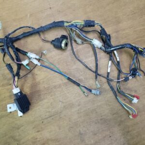 Faisceau éléctrique TGB 50 TAPO RS
