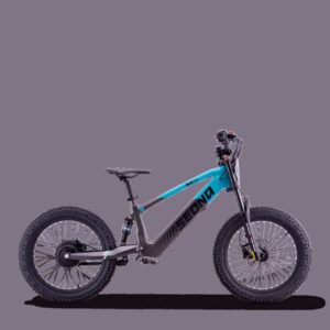 Draisienne électrique sedna sx 20