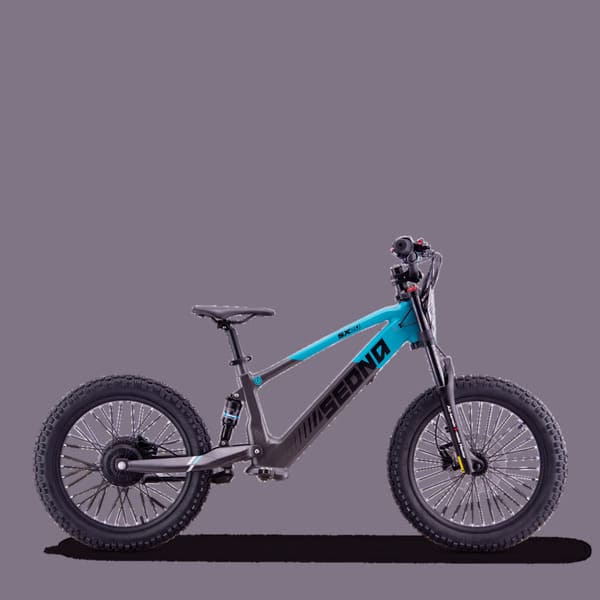 Draisienne électrique sedna sx 20