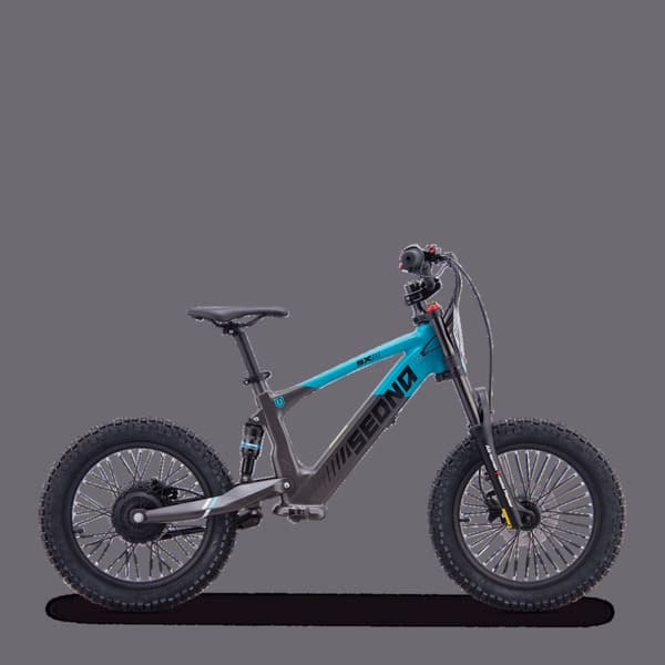 Draisienne électrique sedna sx18