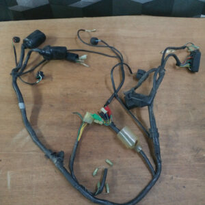 Faisceau éléctrique Honda 600 Hornet S 1998 - 2002